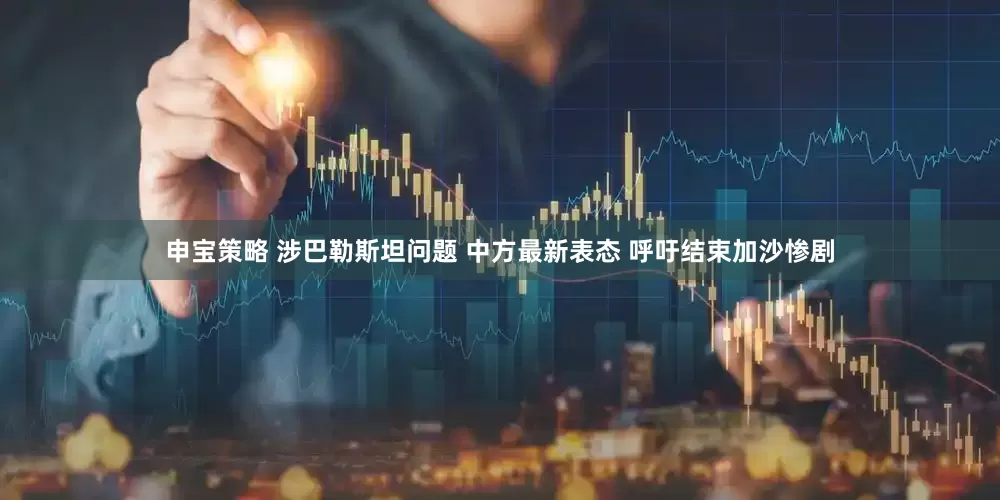 申宝策略 涉巴勒斯坦问题 中方最新表态 呼吁结束加沙惨剧